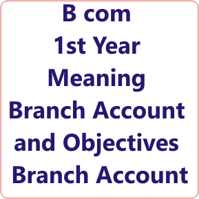 Meaning of Branch Account and Objectives of Financial Accounting Notes in Hindi