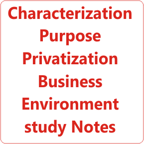 Characterization Purpose Privatization Business Environment study Notes