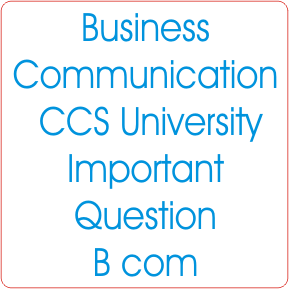 Business Communication CCS University Important Question B com