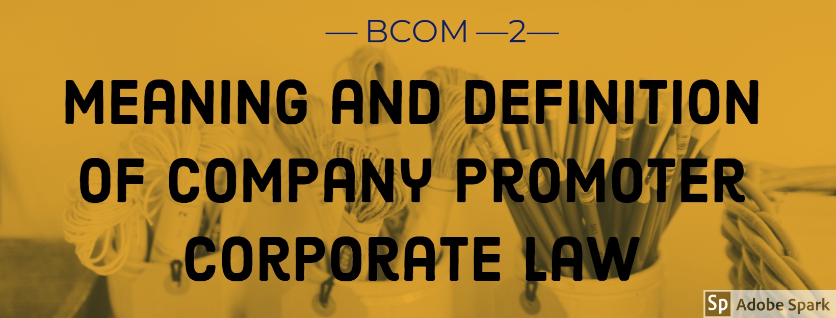 Meaning and Definition of Company Promoter Corporate Law Bcom Part 2