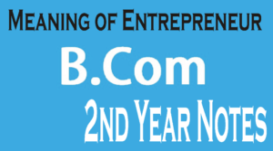 B Com 2nd Year Fundamentals of Entrepreneurship Notes