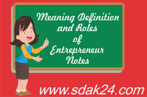 Meaning definition and Roles of Entrepreneur Notes
