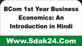 Business Economics: An Introduction