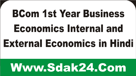  BCom 1st Year Business Economics Internal and External Economics in Hindi