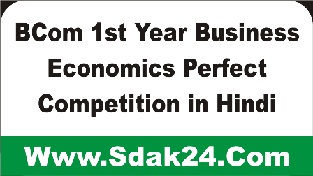 BCom 1st Year Business Economics Perfect Competition in Hindi