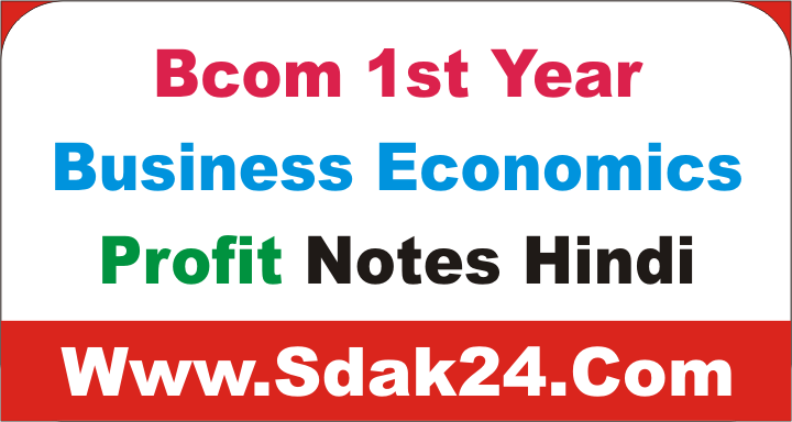 Bcom 1st Year Business Economics Profit Notes Hindi
