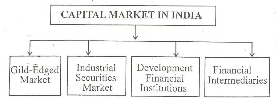 Capital Market Financial Intermediaries