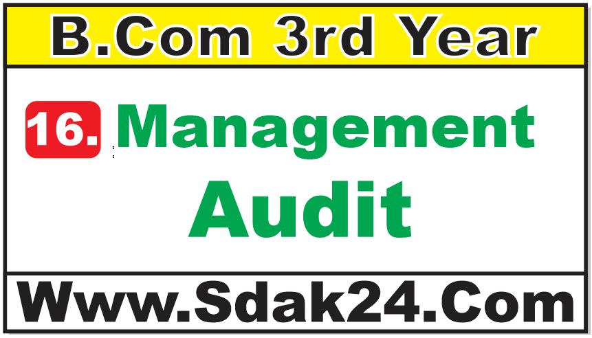 Management Audit Bcom Notes