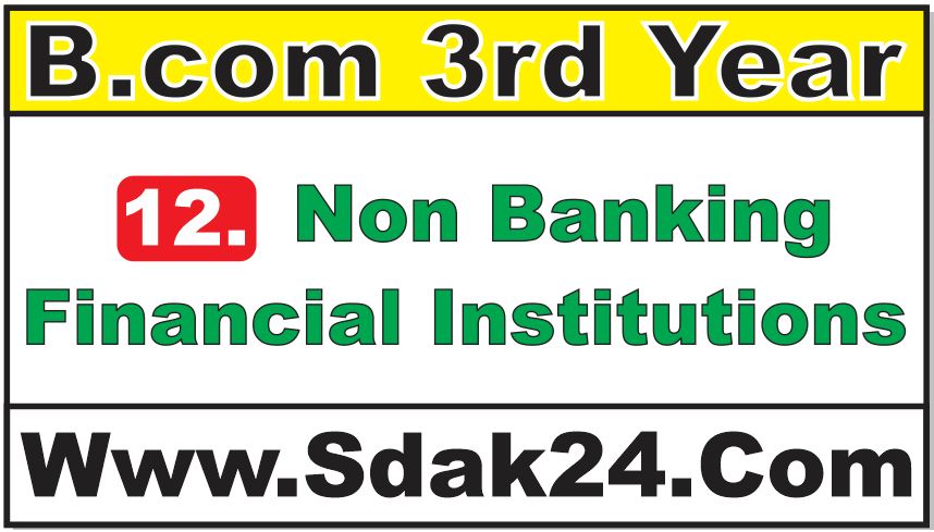 Non Banking Financial Institutions Bcom Notes