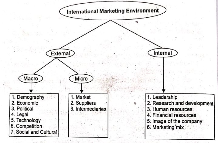 International Marketing Nature Scope
